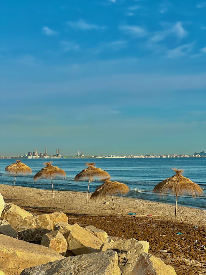Home Vibrant coastal scenery featuring straw umbrellas and a distant cityscape at Gammarth Beach, Tunisia.